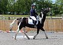 Novice046