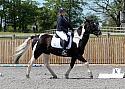 Novice047
