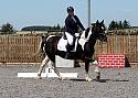 Novice054
