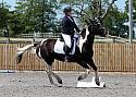 Novice058