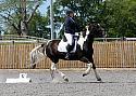 Novice059