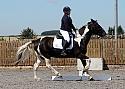 Novice063