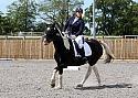 Novice074