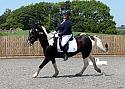 Novice079