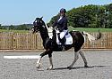 Novice080