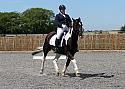 Novice082