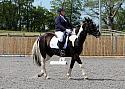 Novice084