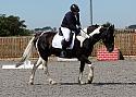 Novice087