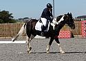 Novice088