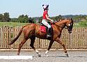 Novice091
