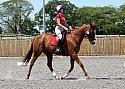 Novice095