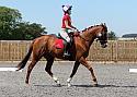 Novice097