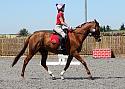 Novice098