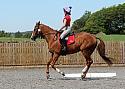 Novice123