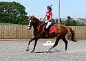 Novice133