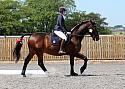 Novice165