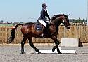 Novice167