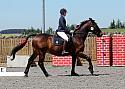 Novice174