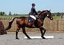 Novice175