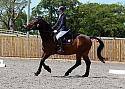 Novice180