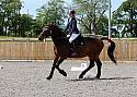 Novice181
