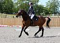 Novice182