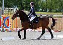 Novice183