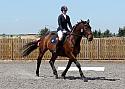 Novice190