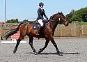 Novice193