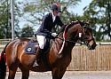 Novice197