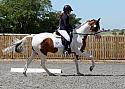 Novice205