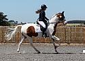 Novice206
