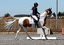 Novice207