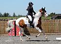 Novice209