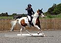 Novice210