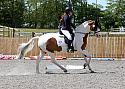 Novice212