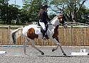Novice213