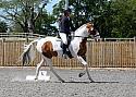 Novice214