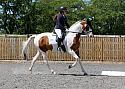 Novice215
