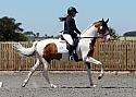 Novice217
