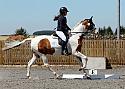 Novice218