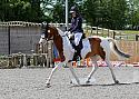 Novice221