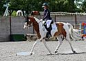 Novice222