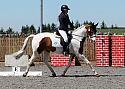 Novice223