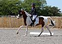 Novice226
