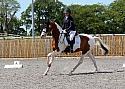 Novice227