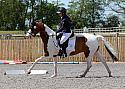 Novice228