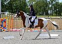 Novice229