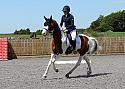 Novice233