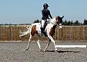 Novice235